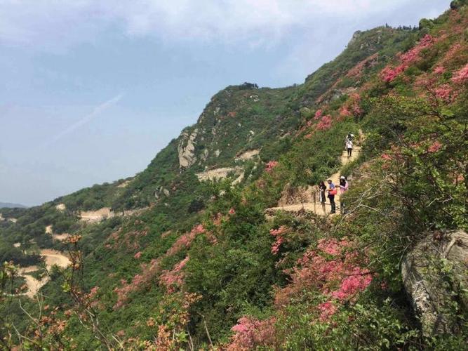 武汉近郊自驾一日游不爬山_武汉近郊一日旅游景点