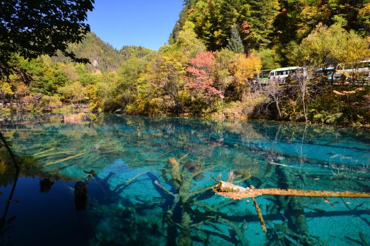 成都九寨沟五日游_成都九寨沟五日游15日至19日天气