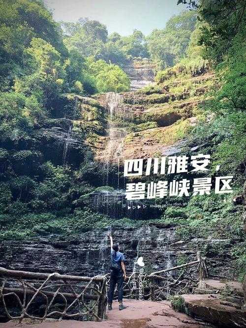 雅安旅游十大必去景点_雅安旅游十大必去景点有哪些地方