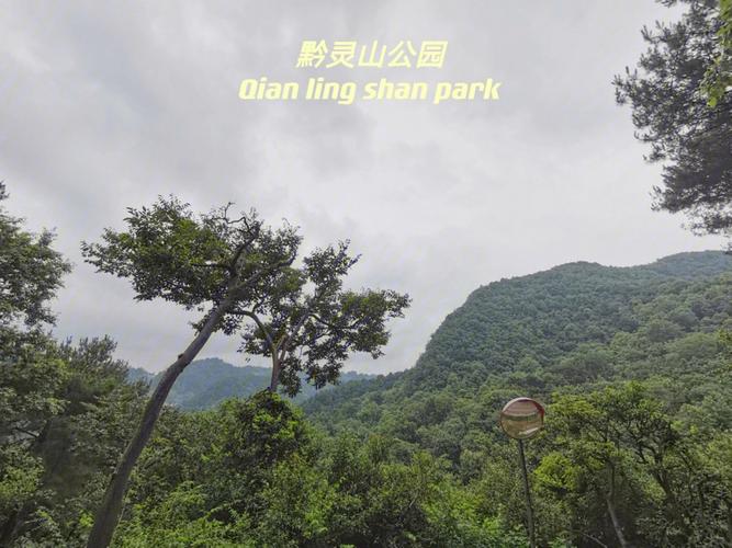 贵阳市区旅游景点_贵阳市区旅游景点黔灵山公园