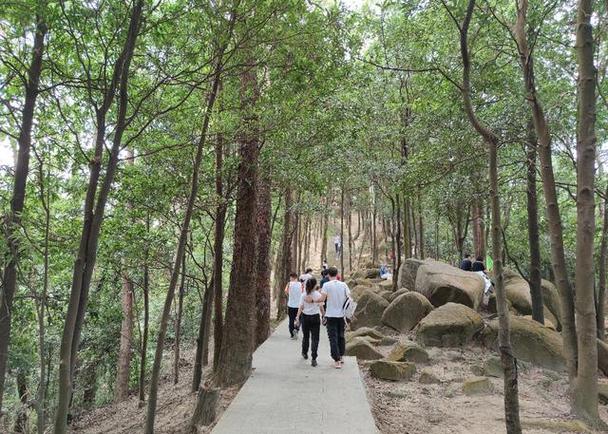 火炉山森林公园一日游_火炉山森林公园旅游攻略