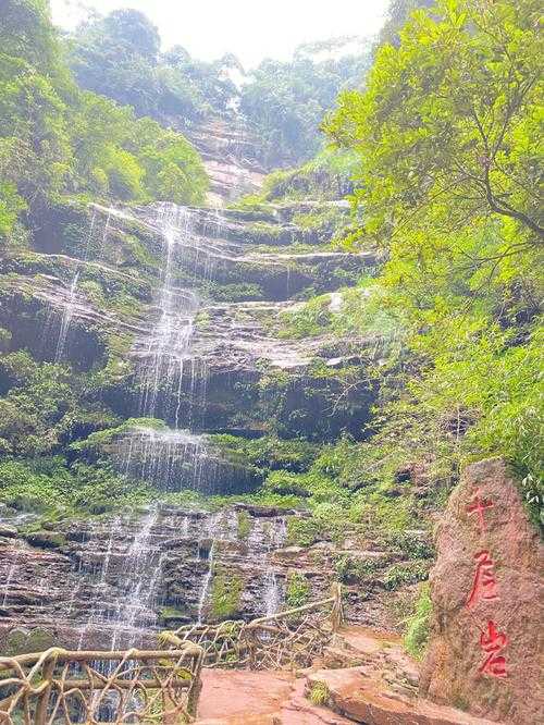 雅安旅游十大必去景点_雅安旅游十大必去景点碧峰峡